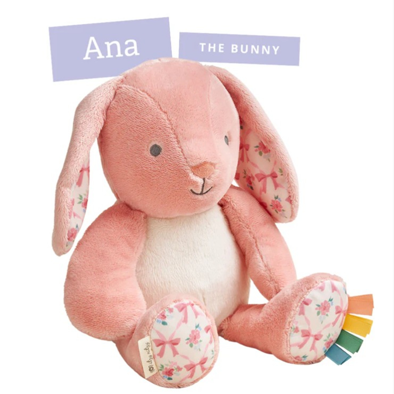 Sweetie Snuggles Plush - Ana the Bunny - Itzy Ritzy